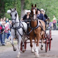 Ringsteken Zorgvlied